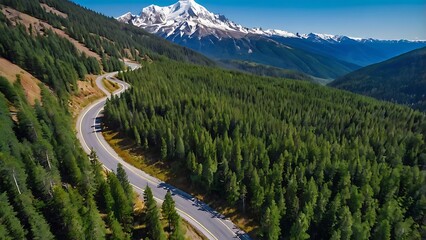 yellow autumn leaves
