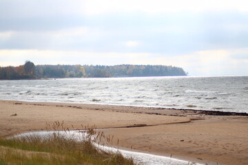 beach in winter