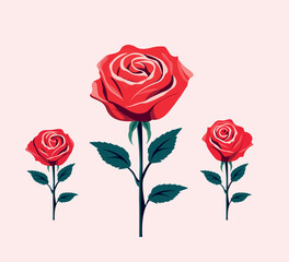 Rose with leaves set vector illustration	