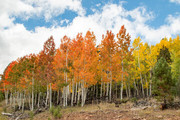 Indian Summer, Autumn
