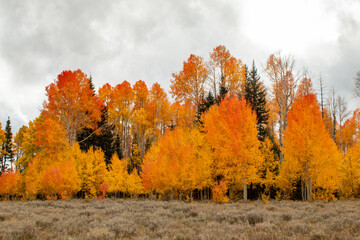 Indian Summer, Autumn