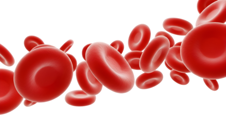 3d render of red blood cells flowing, medical concept isolated on transparent background