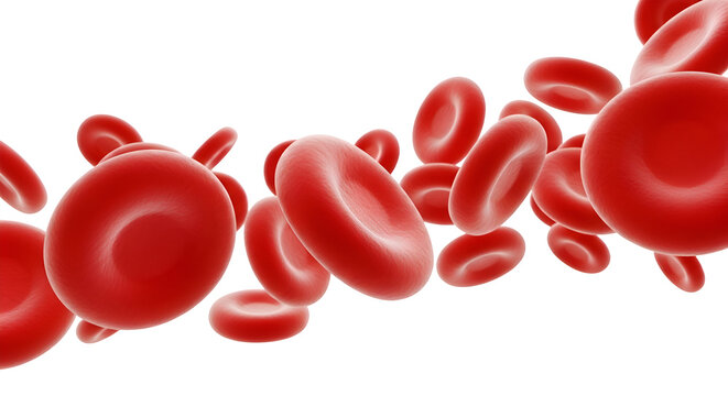 3d render of red blood cells flowing, medical concept isolated on transparent background