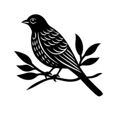 bird on a branch