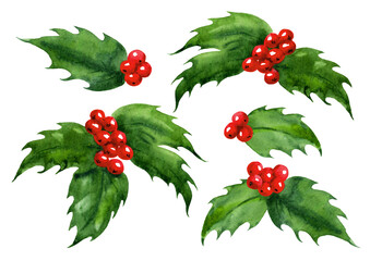 Watercolor Holly Leaves With Red Berries For Christmas And Holiday Decor