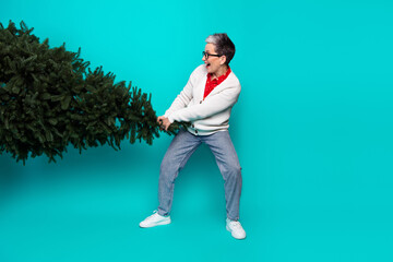 Elderly woman pulls a Christmas tree in a bright studio wearing a casual cardigan jeans and white...