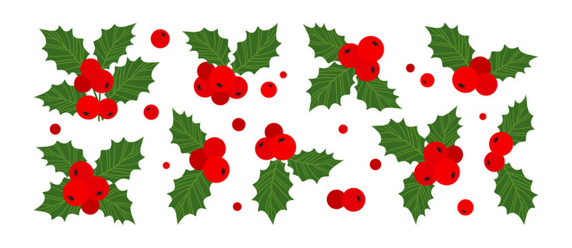 Christmas cartoon mistletoe, holly berry and leaf. Xmas holiday plant, winter ilex icon. Red fruit sprig green branch. American and European december decoration set for New Year. Vector illustration