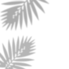 Dual Tropical Leaf Corner Shadow Overlay with Copy Space