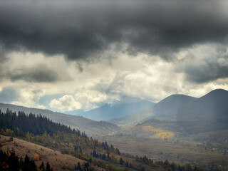 Obraz premium Misty Autumn Rain Clouds over Ukrainian Carpathian Mountains.