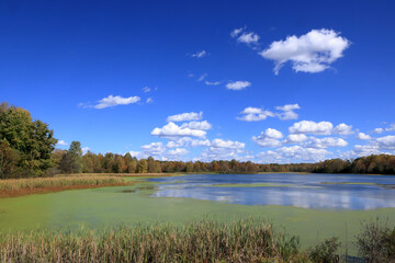 Autumn landscape featuring trees and reeds along the shoreline of Richart Lake under scattered clouds and a blue sky