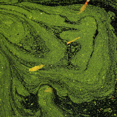 Close-up view of duckweed floating on a pond surface, forming an abstract natural pattern in shades of green.