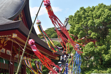 鎌倉鶴岡八幡宮の七夕飾り