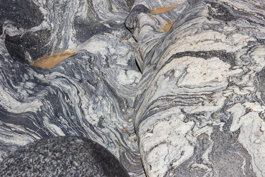 Close up of a boulder of migmatite of the Natal-Namaqua metamorphic belt