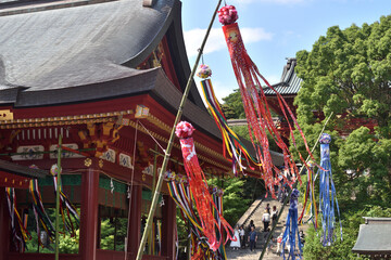 鎌倉鶴岡八幡宮の七夕飾り