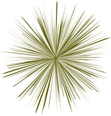 Obraz premium Green firework burst decorative design element