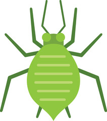 This illustration depicts a green aphid, a common garden pest that can damage plants