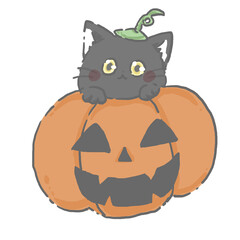 halloween cat with pumpkin