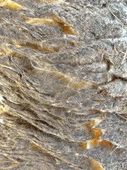 Rough Animal Fur Texture Close-Up