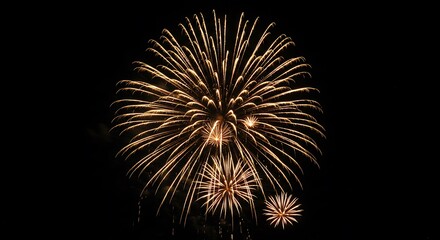 Obraz premium Golden fireworks exploding in the night sky, creating a beautiful display of light and color