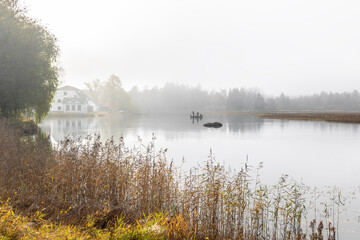 Autumn river in a foggy morning. Farnebofjarden national park in north of Sweden.