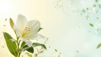 Naklejka premium Alstroemeria. Floral natural yellow-blue background. Banner designs, congratulations, presentations.