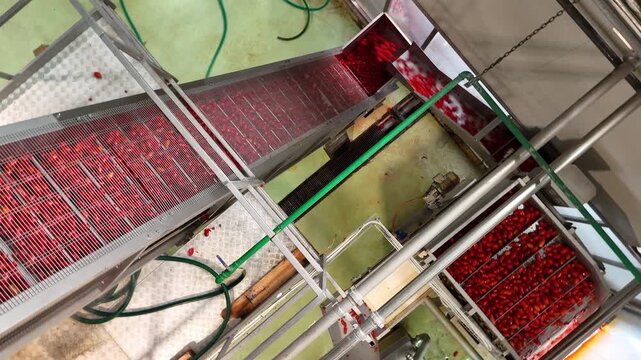 drone, interni di stabilimento lavorazione di conserve di pomodoro