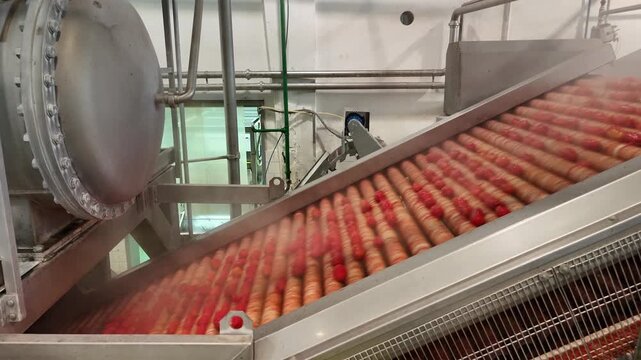 drone, interni di stabilimento lavorazione di conserve di pomodoro