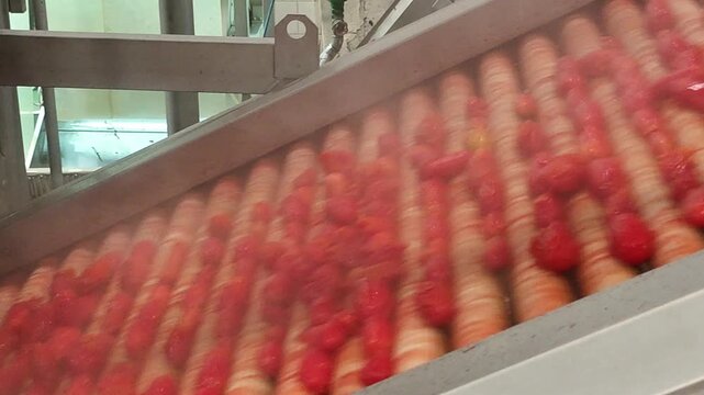 drone, interni di stabilimento lavorazione di conserve di pomodoro