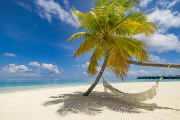 Best Beautiful Summer Maldives Beach Landscape. Top Scenic Villas Tranquil Palm Tree Swing Hammock...