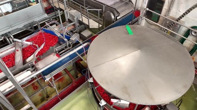 drone, interni di stabilimento lavorazione di conserve di pomodoro