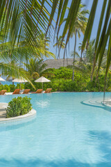 Best Top Luxury Tropical Resort Pool Umbrella Palms Gorgeous Outdoors Poolside Leisure Lifestyle Travel Concept. Popular Exotic Perfect Summer Vacation Destination Tranquil Serene Holiday Background