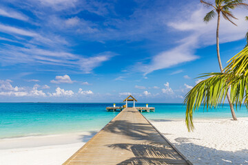 Best Gorgeous Maldives Island Landscape Tropical Beach Paradise Exotic Shore. Top Beautiful Palm Trees Luxury Vacation Resort Water Villas. Popular Stunning Travel Destination Perfect Summer Holiday