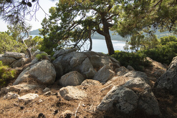 Seaside Antalaya area in Turkey.