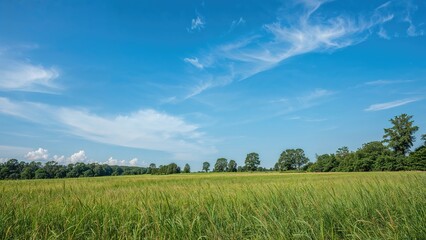 Fototapeta premium Background of Beautiful Natural Scenery