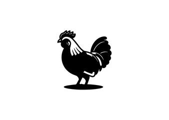 rooster isolated on white background