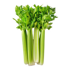 Fresh green celery stalks arranged neatly showcasing vibrant leaves and crisp texture, isolated on white background