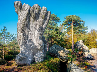 Fototapety na wymiar - Fototapeta24.pl