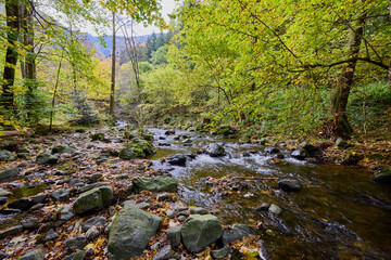 a mountain stream through the autumn forest