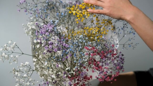 Gypsophila paniculata flowers in a bouquet