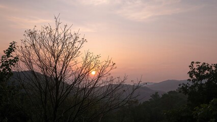 Pastel sky at dawn over sleepy treeline with soft colors and quiet morning silhouette.