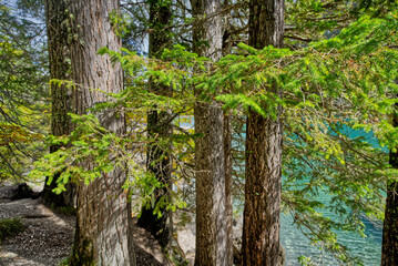 Lake Braies in Northern Italy