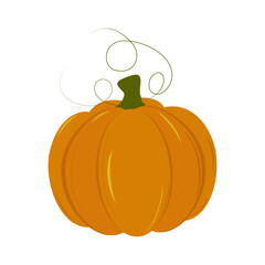 Pumpkin symbol. Autumn concept. Two pumpkins. Vector illustration