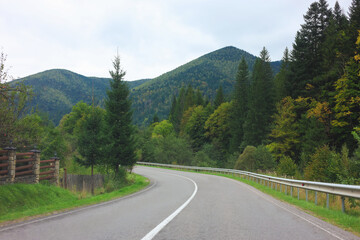 Fototapeta premium Beautiful view of green trees and asphalt road in mountains