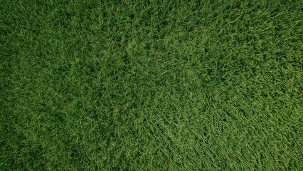 Green grass top view field texture pattern for sport item background
