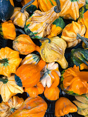 A top view of a large pile of decorative pumpkins of various colors and shapes.