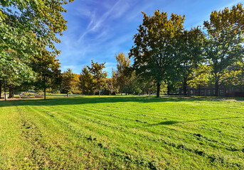 A large freshly mown lawn on a warm summer day in a city park in Riga, Latvia. The concept of a well-maintained environment.