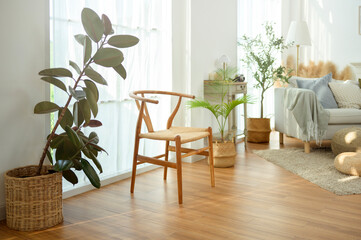 Cozy Indoor Living Space With a Wooden Chair and Green Plants in Bright Sunlight