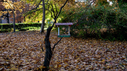 Colorful bird feeder stands out in a serene autumn park scene
