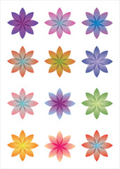 set of colorful flowers. vector illustration