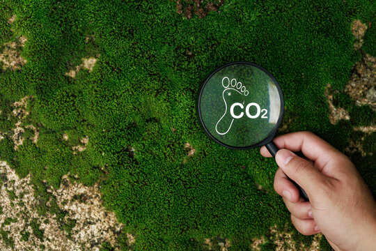 Hand holding green grass a green Carbon Footprint of eco friendly success, renewable energy, carbon emission to net zero. Earth Day, and ESG concept